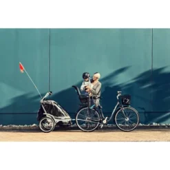 Schwinn Shop 27 Thule Ridealong Bike Seat - Light Gray